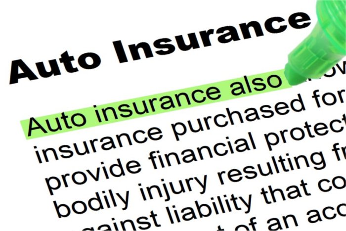 Auto Insurance Quotes